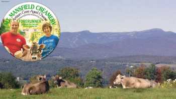 Mt Mansfield Creamery