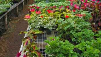 Beaver Meadow Greenhouses