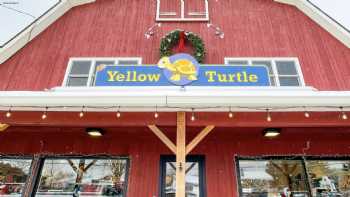 Yellow Turtle