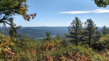 Townshend State Forest