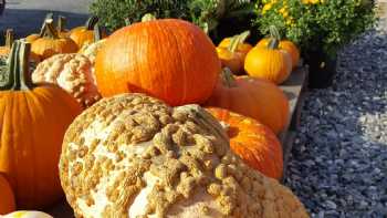 Woodstock Farmers Market, Waterbury