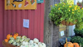 Woodstock Farmers Market, Waterbury