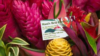 Maui's Best Flowers