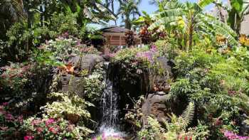 My Flower Shop Lahaina Maui Hawaii