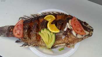 Lonchera Mariscos Colima