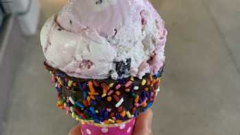 Baskin-Robbins