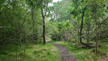 Kipuka Puaulu Trail