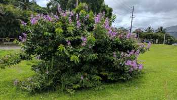 Kahekili Hwy + Opp Ahuimanu Pl