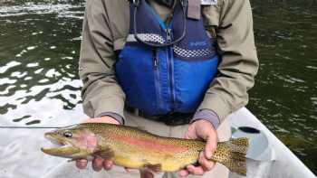 Worlds Largest Fly Fishing Fly