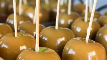 Audrina's Caramel Apples