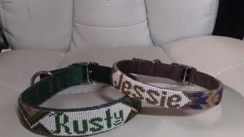 Dees Beaded Dog Collars