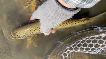 Fishwest Fly Shop - Kamas