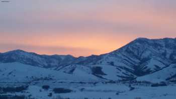 Intermountain Farmers Association