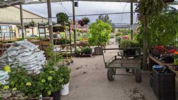 Linden Nursery