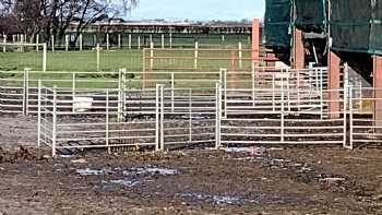 Cockerham Goat Meat Farm