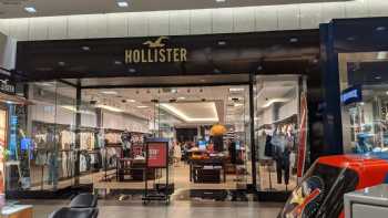 Hollister Co.