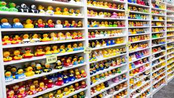 Shrewsbury Duck Store