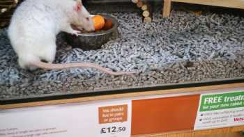 Pets at Home Shrewsbury