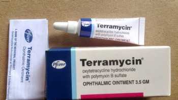 Terramycin Ophthalmic Ointment for Dogs & Cats