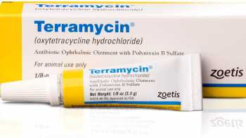 Terramycin Ophthalmic Ointment for Dogs & Cats