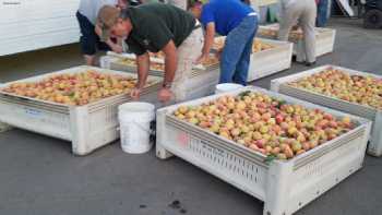 LDS Peach Orchard