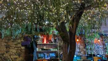 Enchanted Forest Dining Experience