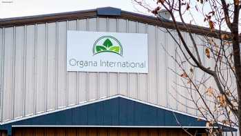 Organa International