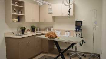 Stansbury Animal Hospital