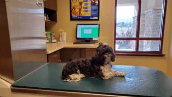 Stansbury Animal Hospital