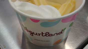 Yogurtland St. George