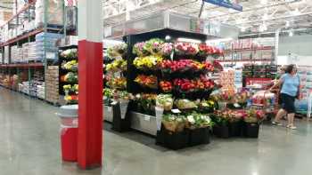 Costco Wholesale