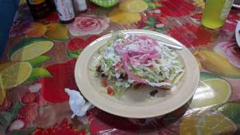 Taco Morelia