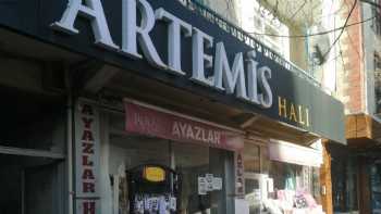 Ayazlar Halı Artemis&İpek Halı Yetkili Bayii