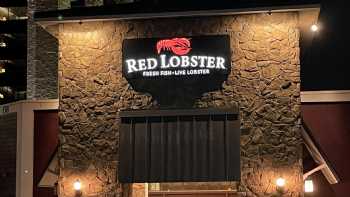 Red Lobster