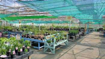 The Potting Shed Café, South Cave Plant Centre & Hectors Attic