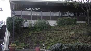 Yama Sushi Bar & Restaurant