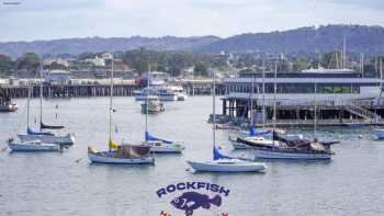 Rockfish Harbor Grill