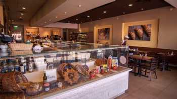 Pandor Artisan Bakery and Café