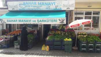 Bahar Manavı