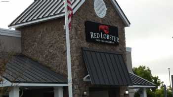 Red Lobster