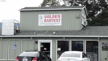 Golden Harvest