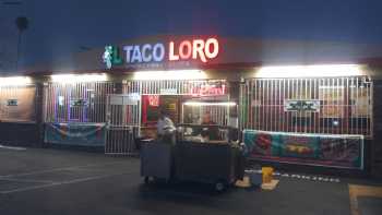 El Taco Loro