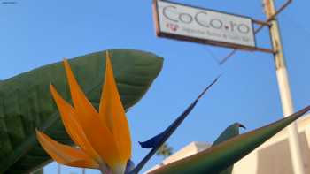 Cocoro Bistro Sushi Bar