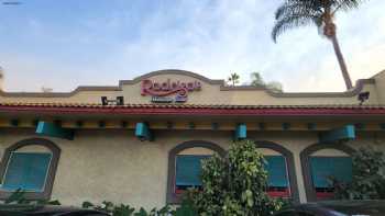 Rodrigo's Mexican Grill