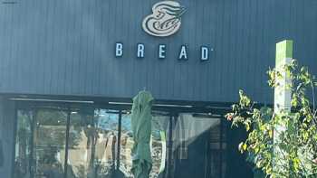 Panera Bread