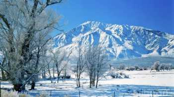 Bishop Paiute Reservation