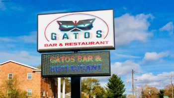 Gatos Mexican Buffet