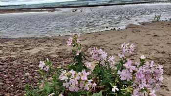 Eagle River Beach