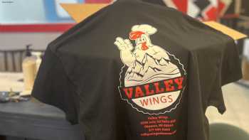 Valley Wings Okemos