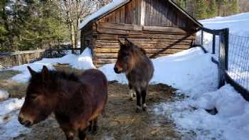 Homestead Lodge & Dining at Ski Brule